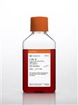 10-025-CV | Corning® 500 mL F-12K Nutrient Mixture (Kaighns Mod.)