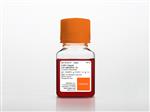 25-053-CI | Corning® 100 mL Trypsin EDTA 1X