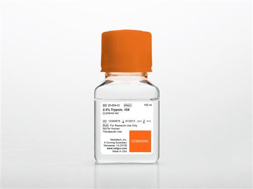 25-054-CI | Corning® 100 mL Trypsin 10x, 2.5% Trypsin in HBSS [-] calcium, magnesium, phenol red, Porcine Parvovirus Tested