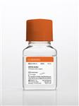 25-060-CI | Corning® 100 mL HEPES, Liquid 1M Solution (238.3 mg/ mL)