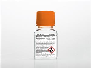 30-004-CI | Corning® 100 mL Antibiotic-Antimycotic Solution