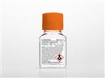 30-004-CI | Corning® 100 mL Antibiotic-Antimycotic Solution