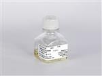 30-005-CR | Corning® 10 mL Gentamicin Sulfate, Liquid