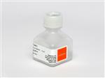 30-234-CR | Corning® 20 mL G418 Sulfate, Liquid, 50 mg/mL Solution
