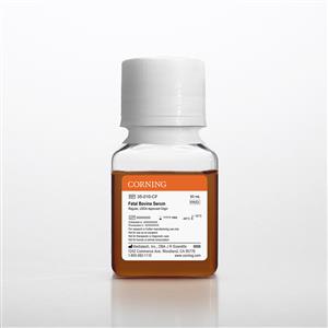 35-010-CF | Corning® Fetal Bovine Serum, 50 mL, Regular, USDA Approved Origin
