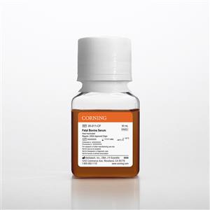 35-011-CF | Corning® Fetal Bovine Serum, 50 mL, Regular, USDA Approved Origin (Heat Inactivated)