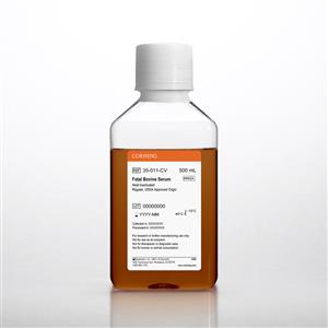 35-011-CV | Corning® Fetal Bovine Serum, 500 mL, Regular, USDA approved Origin (Heat Inactivated)