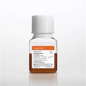35-016-CF | Corning® Fetal Bovine Serum, 50 mL, Premium, United States Origin (Heat Inactivated)