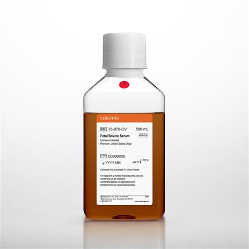 35-070-CV | Corning® Fetal Bovine Serum, 500 mL, Premium, United States Origin (Gamma Irradiated)