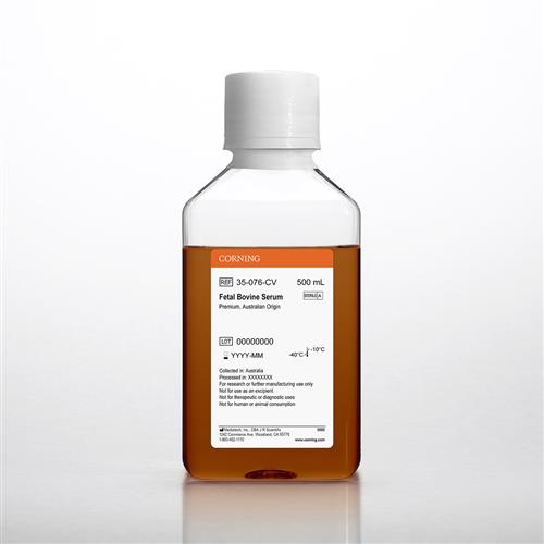 35-076-CV | Corning® Fetal Bovine Serum, 500 mL, Australian Origin