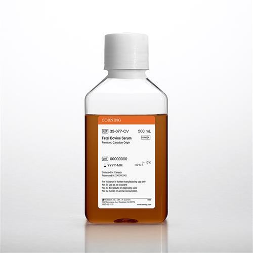 35-077-CV | Corning® Fetal Bovine Serum, 500 mL, Regular, Canadian Origin
