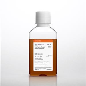 35-077-CV | Corning® Fetal Bovine Serum, 500 mL, Regular, Canadian Origin