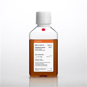 35-096-CV | Corning® Fetal Bovine Serum, 500 mL, Premium, Australian Origin (Gamma Irradiated)