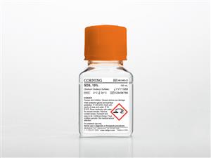 46-040-CI | Corning® 100 mL SDS (Sodium Dodecyl Sulfate)