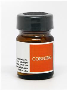 61-241-RG | Corning® 5 g Neomycin Sulfate, Powder
