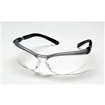 7000052795 |  Silver/Black Frame 20 EA/Case