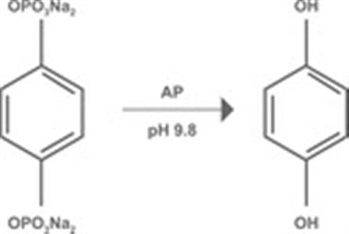 DRP-HQDP-0.5G | Hydroquinone Diphosphate 0.5 g