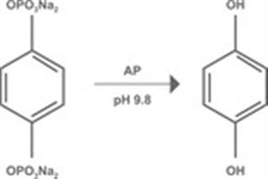 DRP-HQDP-0.5G | Hydroquinone Diphosphate 0.5 g