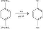 DRP-HQDP-0.5G | Hydroquinone Diphosphate 0.5 g