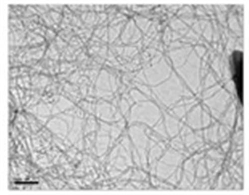 DRP-SWCNTCOOH | COOH funct. SWCarbon Nanotubes