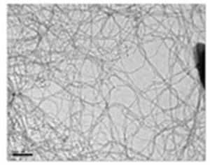DRP-SWCNTCOOH | COOH funct. SWCarbon Nanotubes