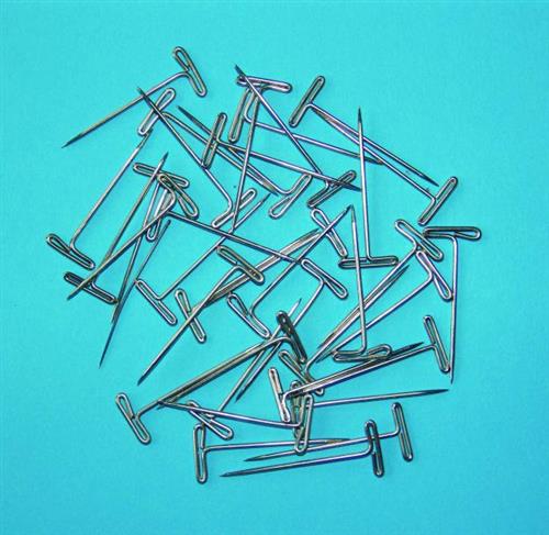 AD010 | DISSECTING SPECIMEN PINS 1.25 100 PACK