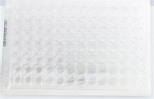 603096 | Premier Coccidioides