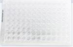 603096 | Premier Coccidioides