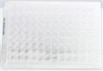 696006 | Premier Adenoclone 40 41