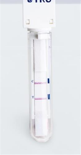 751110 | Flu RSV Positive Control