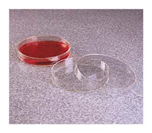 5500-0010 | Petri Dish PMP 100 x 15 mm