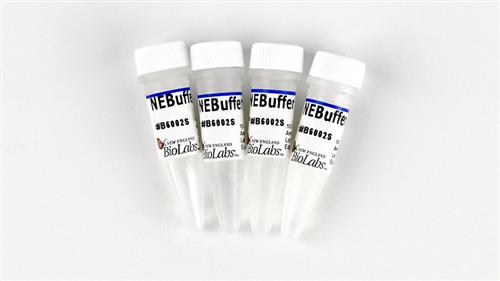 B6002S | NEBuffer r2.1 5 ml