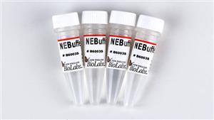 B6003S | NEBuffer r3.1 5 ml