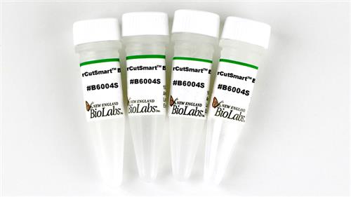 B6004S | rCutSmart Buffer 5 ml