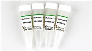 B6004S | rCutSmart Buffer 5 ml