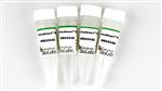 B6004S | rCutSmart Buffer 5 ml