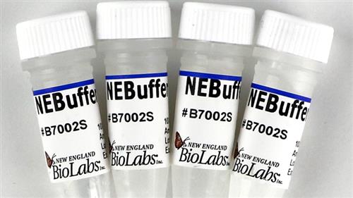 B7002S | NEBuffer 2 5 ml