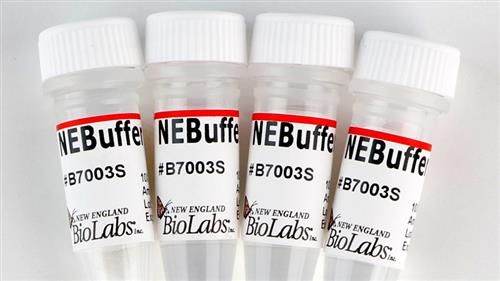 B7003S | NEBuffer 3 5 ml