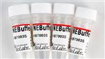 B7003S | NEBuffer 3 5 ml