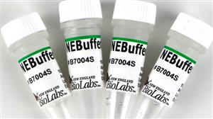 B7004S | NEBuffer 4 5 ml