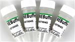 B7004S | NEBuffer 4 5 ml