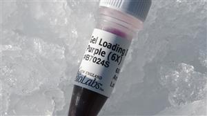 B7024S | Gel Loading Dye Purple 6X 4 ml