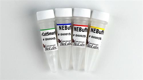 B7030S | NEBuffer Set r1.1 r2.1 r3.1 rCutSmart 1.25 ml each