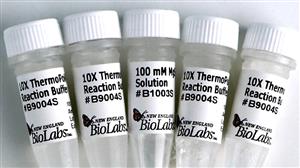 B9004S | ThermoPol Reaction Buffer Pack 6 ml
