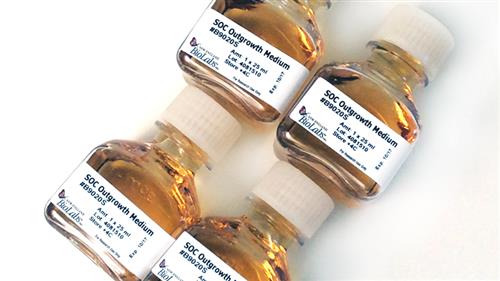 B9020S | SOC Outgrowth Medium 100 ml