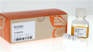 C2527H | BL21 DE3 Competent E. coli 20 x 0.05 ml