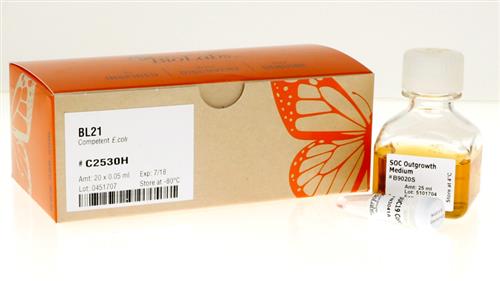 C2530H | BL21 Competent E. coli 20 x 0.05 ml