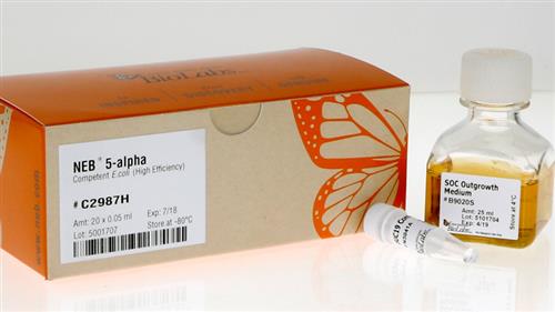 C2987U | NEB 5 alpha Competent E. coli High Efficiency 96 x