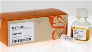 C2987H | NEB 5 alpha Competent E. coli High Efficiency 20 x