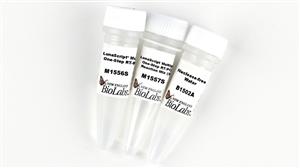 E1555L | LunaScript Multiplex One Step RT PCR Kit 250 react